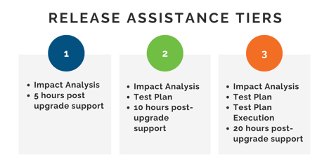 NetSuite Release Assistance